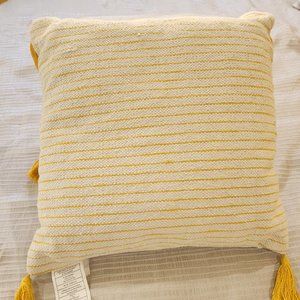 Allen & Roth Accent Pillows